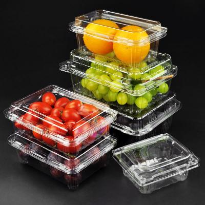 Sanitation Plastic Fruit Packing Box
