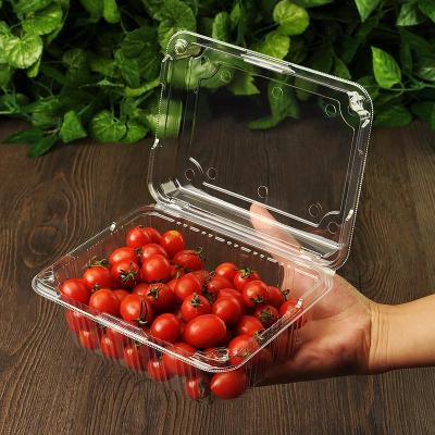 Disposable Clamshell Food Container