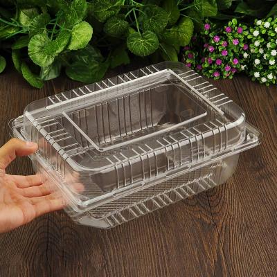 Eco Friendly Food Grade PET Large Plastic Disposable Clear Box