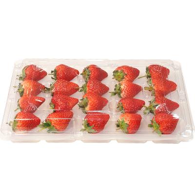 Food Grade PET Milk / Cream Strawberry Plastic Box