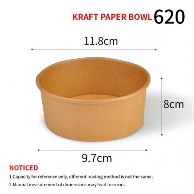  Paper Bowl