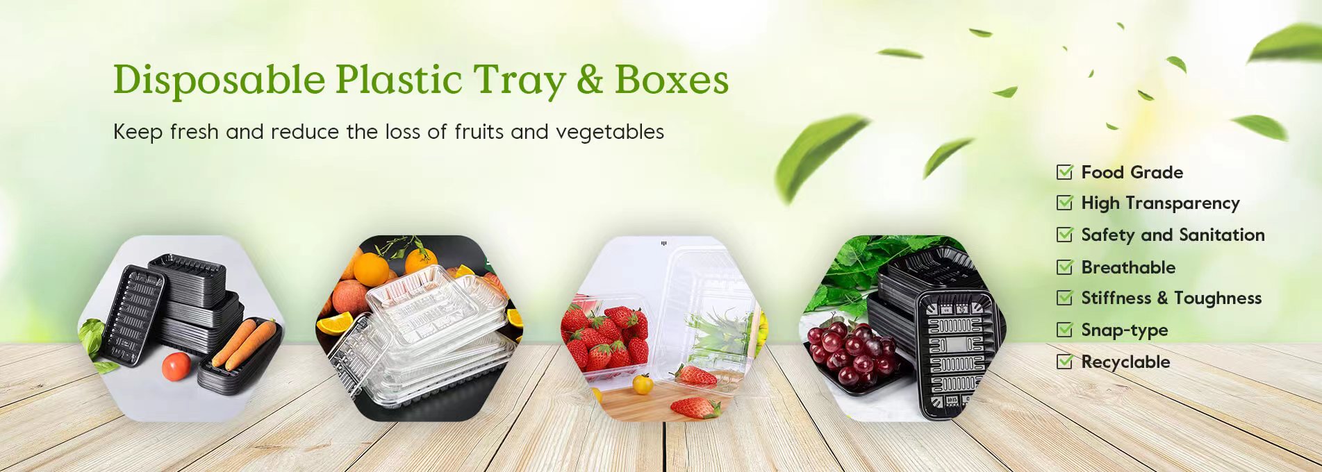 Disposable Plastic Tray & Boxes