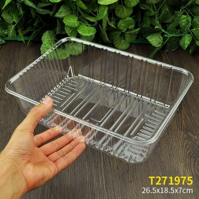 PET Clear plastic fruit platter tray