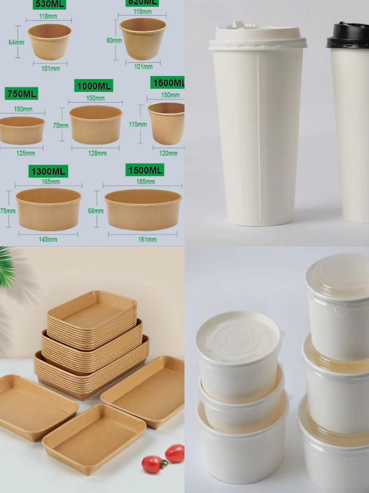 Introduction of Takeaway Food Packaging